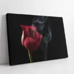 Kırmızı Gül | Kanvas Tablo | Cam Tablo | Mdf Tablo | A03244