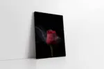 Kırmızı Gül | Kanvas Tablo | Cam Tablo | Mdf Tablo | A03245