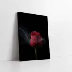 Kırmızı Gül | Kanvas Tablo | Cam Tablo | Mdf Tablo | A03245