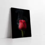 Kırmızı Gül | Kanvas Tablo | Cam Tablo | Mdf Tablo | A03246