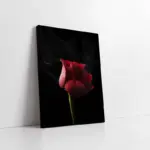 Kırmızı Gül | Kanvas Tablo | Cam Tablo | Mdf Tablo | A03247