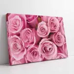 Pembe Güller | Kanvas Tablo | Cam Tablo | Mdf Tablo | A03248