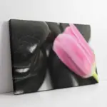 Taşın Üzerinde Pembe Gül | Kanvas Tablo | Cam Tablo | Mdf Tablo | A03249