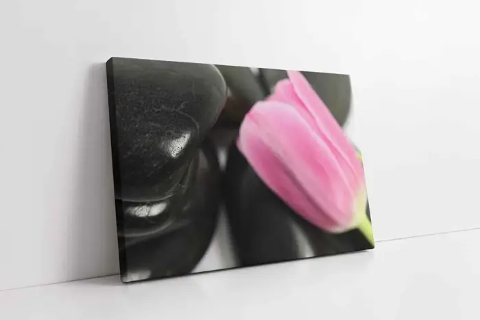 Taşın Üzerinde Pembe Gül | Kanvas Tablo | Cam Tablo | Mdf Tablo | A03249 - Görsel 1