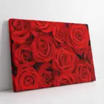 Kırmızı Güller | Kanvas Tablo | Cam Tablo | Mdf Tablo | A03250