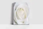 Beyaz Gül | Kanvas Tablo | Cam Tablo | Mdf Tablo | A03251 - Görsel 2