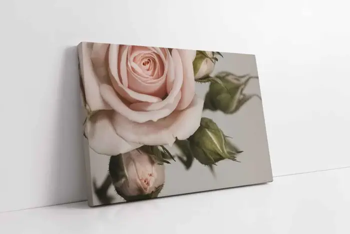 Pembe Gül | Kanvas Tablo | Cam Tablo | Mdf Tablo | A03261 - Görsel 1