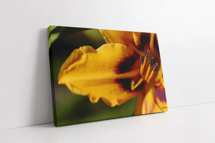 Makro Çekim Çiçek | Kanvas Tablo | Cam Tablo | Mdf Tablo | A03305 - Görsel 1