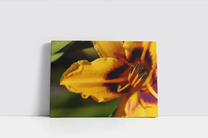 Makro Çekim Çiçek | Kanvas Tablo | Cam Tablo | Mdf Tablo | A03305 - Görsel 2