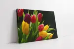 Sarı Kırmızı Laleler | Kanvas Tablo | Cam Tablo | Mdf Tablo | A03308