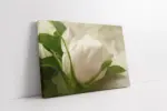 Beyaz Gül | Kanvas Tablo | Cam Tablo | Mdf Tablo | A03310