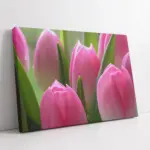 Pembe Laleler | Kanvas Tablo | Cam Tablo | Mdf Tablo | A03317