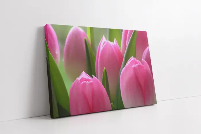 Pembe Laleler | Kanvas Tablo | Cam Tablo | Mdf Tablo | A03317 - Görsel 1