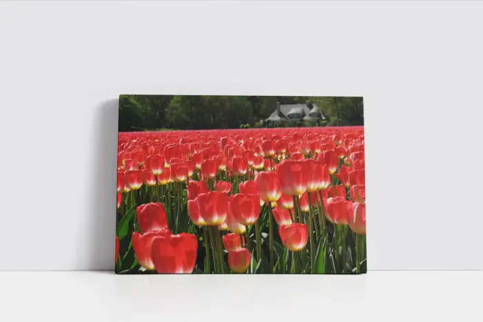 Pembe Çiçek Bahçesi | Kanvas Tablo | Cam Tablo | Mdf Tablo | A03327 - Görsel 2