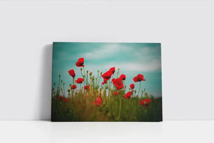 Kırmızı Çiçekler | Kanvas Tablo | Cam Tablo | Mdf Tablo | A03332 - Görsel 2