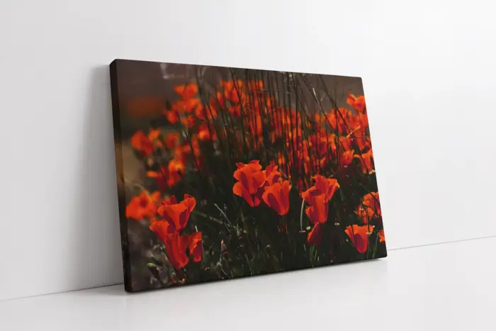 Çiçekler | Kanvas Tablo | Cam Tablo | Mdf Tablo | A03333 - Görsel 1