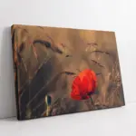 Kırmızı Çiçek | Kanvas Tablo | Cam Tablo | Mdf Tablo | A03336