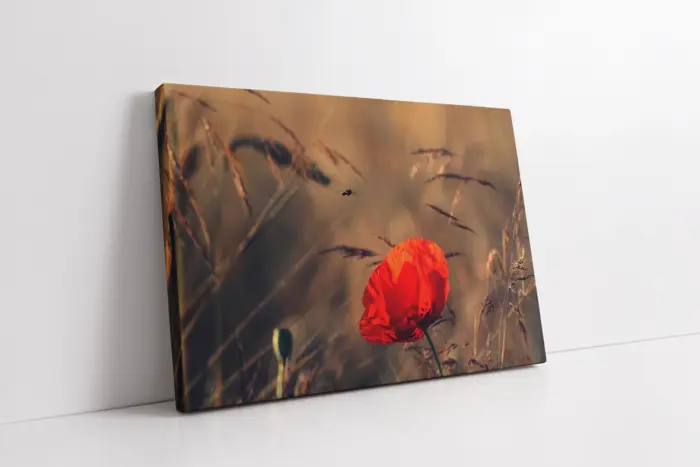 Kırmızı Çiçek | Kanvas Tablo | Cam Tablo | Mdf Tablo | A03336 - Görsel 1