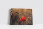 Kırmızı Çiçek | Kanvas Tablo | Cam Tablo | Mdf Tablo | A03336 - Görsel 2