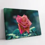 Pembe Gül | Kanvas Tablo | Cam Tablo | Mdf Tablo | A03339