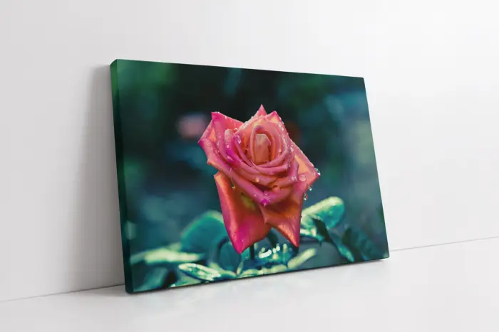 Pembe Gül | Kanvas Tablo | Cam Tablo | Mdf Tablo | A03339 - Görsel 1