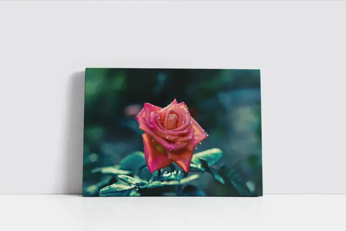 Pembe Gül | Kanvas Tablo | Cam Tablo | Mdf Tablo | A03339 - Görsel 2