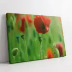 Kırmızı Çiçek | Kanvas Tablo | Cam Tablo | Mdf Tablo | A03341