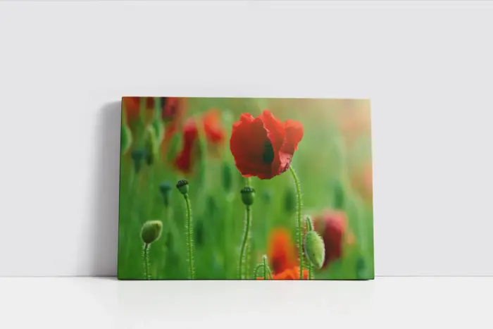 Kırmızı Çiçek | Kanvas Tablo | Cam Tablo | Mdf Tablo | A03341 - Görsel 2