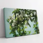 Dalında Çiçekler | Kanvas Tablo | Cam Tablo | Mdf Tablo | A03344