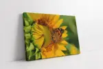 Ayçiçeği Ve Kelebek | Kanvas Tablo | Cam Tablo | Mdf Tablo | A03353