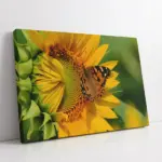 Ayçiçeği Ve Kelebek | Kanvas Tablo | Cam Tablo | Mdf Tablo | A03353