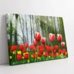 Sarı Kırmızı Laleler | Kanvas Tablo | Cam Tablo | Mdf Tablo | A03357