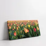 Laleler | Kanvas Tablo | Cam Tablo | Mdf Tablo | A03367