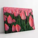 Laleler | Kanvas Tablo | Cam Tablo | Mdf Tablo | A03368