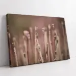 Çiçek Dalları | Kanvas Tablo | Cam Tablo | Mdf Tablo | A03381