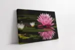 Pembe Nilüfer | Kanvas Tablo | Cam Tablo | Mdf Tablo | A03382