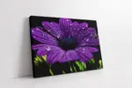Mor Çiçek Ve Su Damlacıkları | Kanvas Tablo | Cam Tablo | Mdf Tablo | A03386