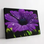 Mor Çiçek Ve Su Damlacıkları | Kanvas Tablo | Cam Tablo | Mdf Tablo | A03386