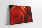 Kırmızı Gül | Kanvas Tablo | Cam Tablo | Mdf Tablo | A03395