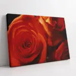 Kırmızı Gül | Kanvas Tablo | Cam Tablo | Mdf Tablo | A03395