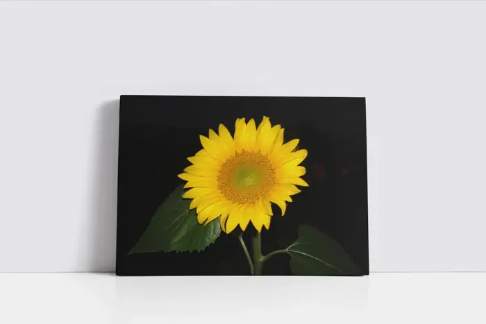 Ayçiçeği | Kanvas Tablo | Cam Tablo | Mdf Tablo | A03406 - Görsel 2
