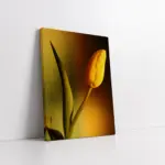 Sarı Lale | Kanvas Tablo | Cam Tablo | Mdf Tablo | A03411