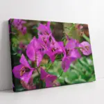 Mor Çiçek | Kanvas Tablo | Cam Tablo | Mdf Tablo | A03415