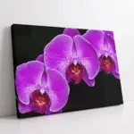 Lila Rengi Çiçekler | Kanvas Tablo | Cam Tablo | Mdf Tablo | A03485