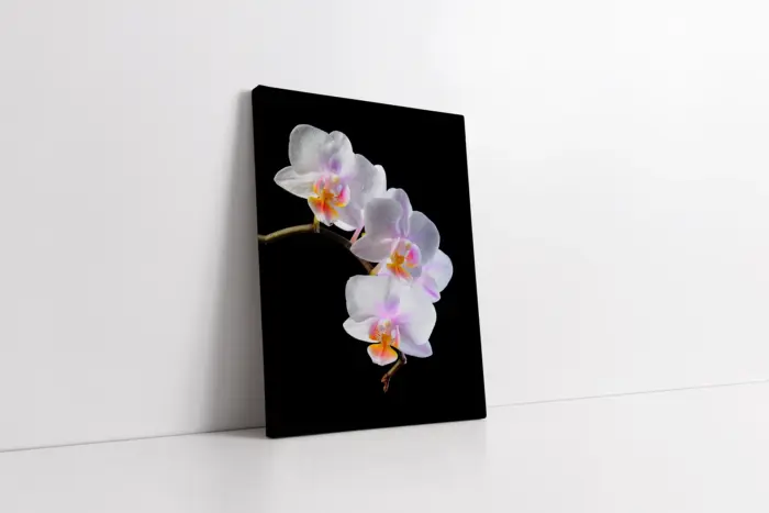 Beyaz Çiçek | Kanvas Tablo | Cam Tablo | Mdf Tablo | A03487 - Görsel 1