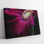 Mor Çiçek | Kanvas Tablo | Cam Tablo | Mdf Tablo | A03505