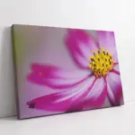 Lila Rengi Çiçek | Kanvas Tablo | Cam Tablo | Mdf Tablo | A03506