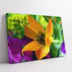 Sarı Çiçek Makro Çekim | Kanvas Tablo | Cam Tablo | Mdf Tablo | A03510