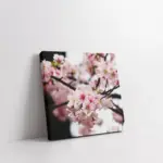 Pembe Çiçekler | Kanvas Tablo | Cam Tablo | Mdf Tablo | A03516