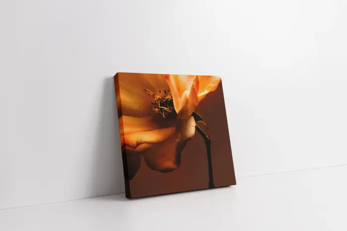 Çiçek | Kanvas Tablo | Cam Tablo | Mdf Tablo | A03520 - Görsel 1